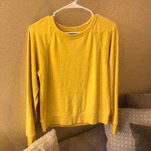 Everlane Sweatshirt